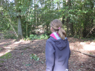 &copy; Zierfischfreunde Immenhausen-Holzhausen